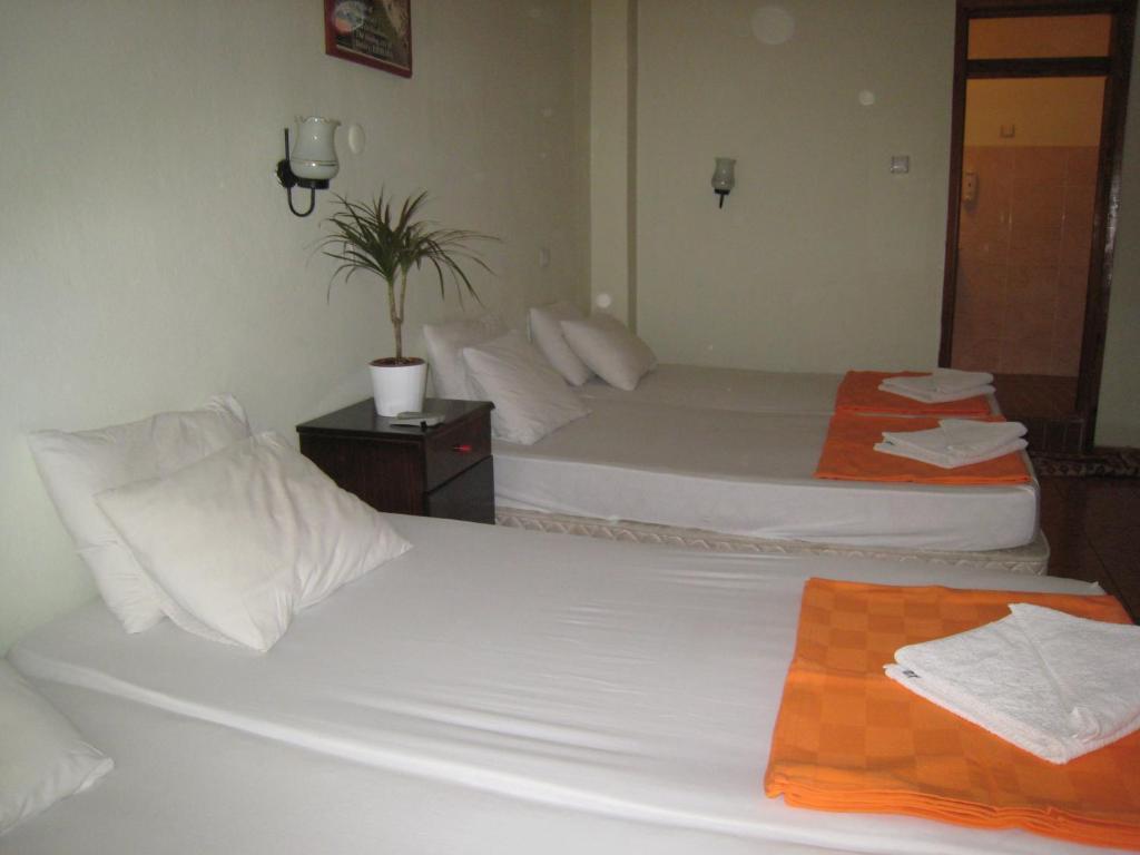 Paris Hotel Selçuk Chambre photo